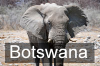 Botswana Hotels and Accommodation