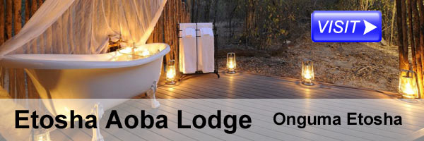 Etosha Accommodation