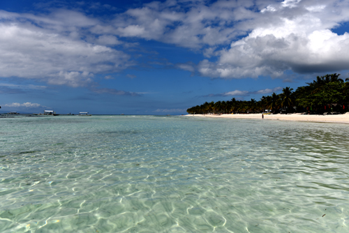 Bohol Island Philippines