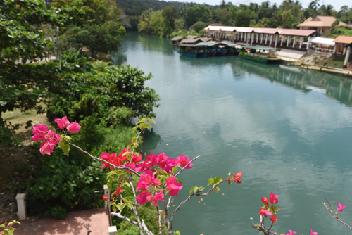 Bohol Island Philippines