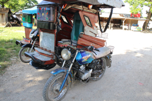 Bohol Island Philippines