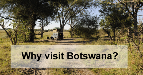 Visit Botswana