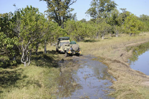 Driving Botswana