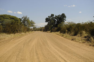 Driving Botswana
