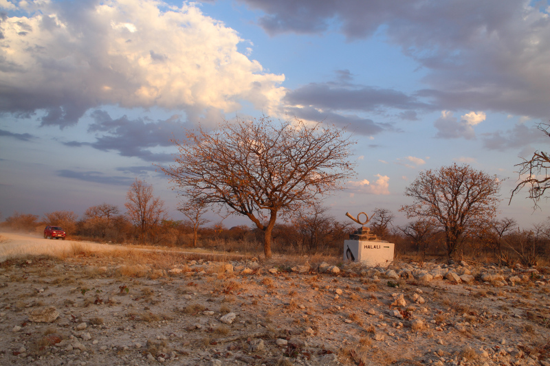 Etosha National Park Namibia