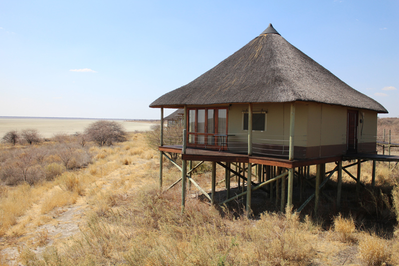 Etosha National Park Namibia