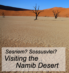 Namib desert Namibia